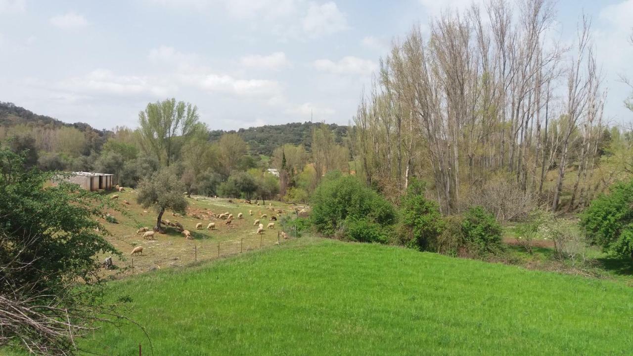 Casa Rural El Jardin Del Hueznar San Nicolás del Puerto Exterior foto